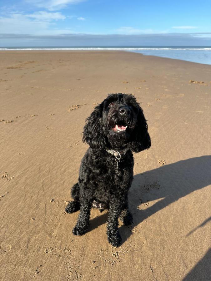 7 Putsborough - Luxury Apartment At Byron Woolacombe, Only 4 Minute Walk To Woolacombe Beach! Luaran gambar